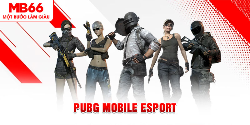 zx88 win gà chọi c1 mới nhất