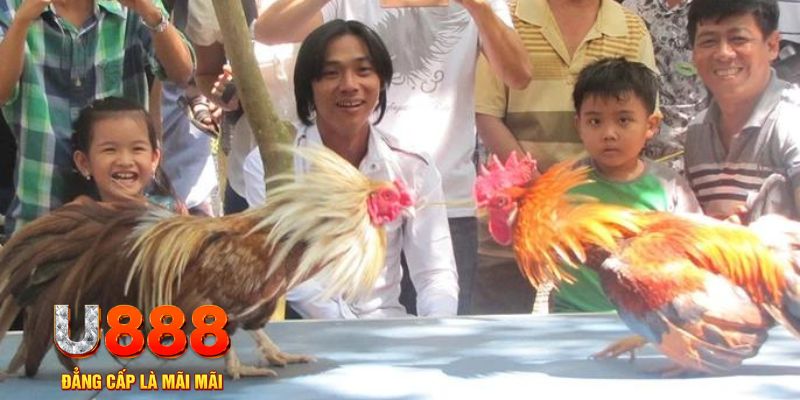 zx88 win mơ thấy nổ hũ đánh con gì