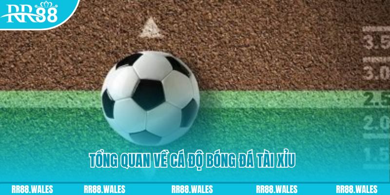 zx88 win JDB Điện Tử