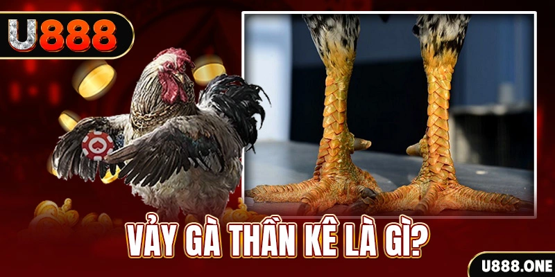 zx88 win xổ số miền bắc thứ tư hàng tuần