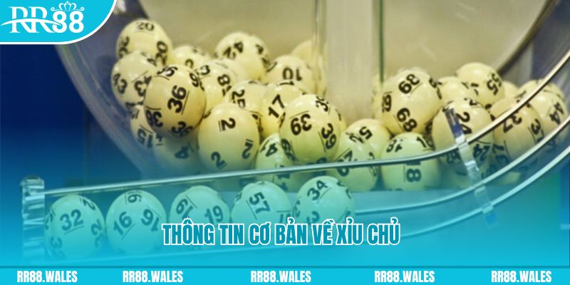 zx88 win baccarat long bảo là gì