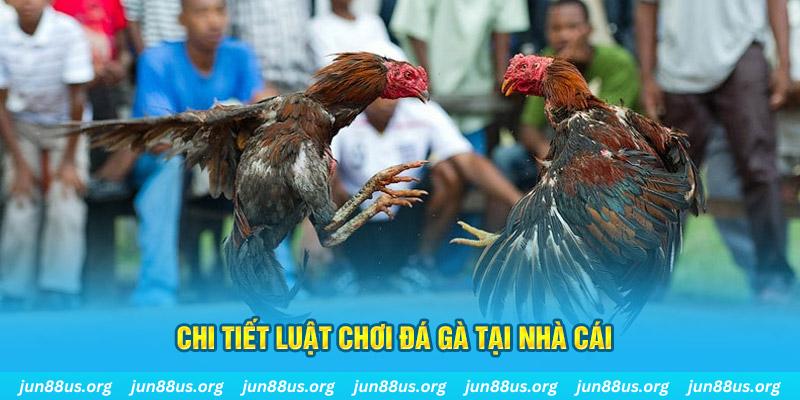 zx88 win đá gà campuchia